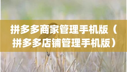 拼多多商家管理手机版（拼多多店铺管理手机版）