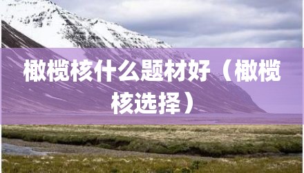 橄榄核什么题材好（橄榄核选择）