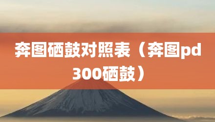 奔图硒鼓对照表（奔图pd300硒鼓）