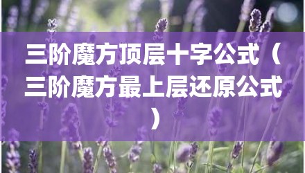 三阶魔方顶层十字公式（三阶魔方最上层还原公式）