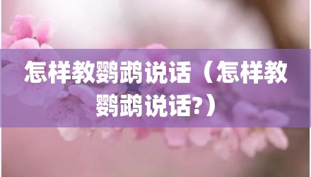 怎样教鹦鹉说话（怎样教鹦鹉说话?）