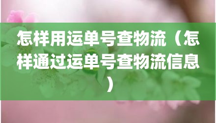 怎样用运单号查物流（怎样通过运单号查物流信息）