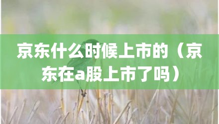 京东什么时候上市的(京东在a股上市了吗)