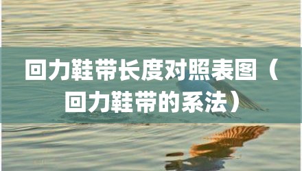 回力鞋带长度对照表图(回力鞋带的系法)