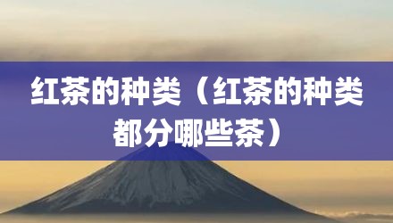 红茶的种类（红茶的种类都分哪些茶）