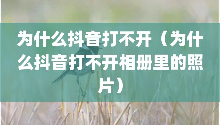 为什么抖音打不开（为什么抖音打不开相册里的照片）