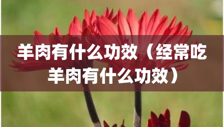 羊肉有什么功效（经常吃羊肉有什么功效）