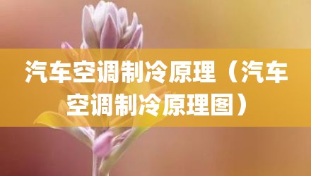 汽车空调制冷原理（汽车空调制冷原理图）