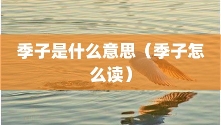 季子是什么意思（季子怎么读）