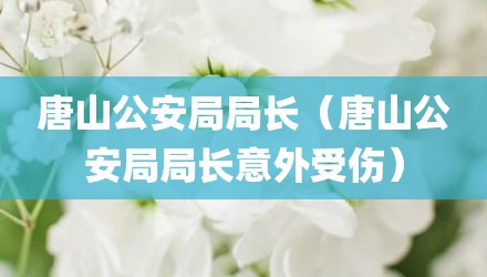 唐山公安局局长（唐山公安局局长意外受伤）