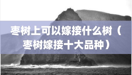 枣树上可以嫁接什么树（枣树嫁接十大品种）