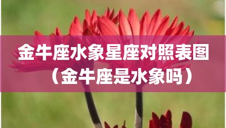 金牛座水象星座对照表图（金牛座是水象吗）
