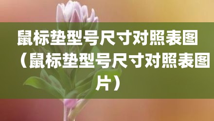 鼠标垫型号尺寸对照表图（鼠标垫型号尺寸对照表图片）