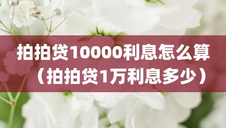 拍拍贷10000利息怎么算（拍拍贷1万利息多少）