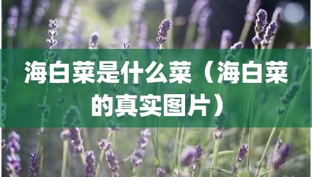 海白菜是什么菜（海白菜的真实图片）
