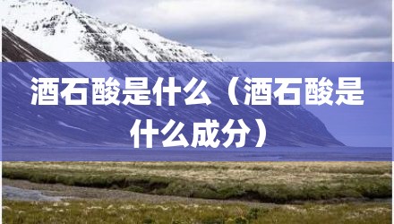 酒石酸是什么（酒石酸是什么成分）