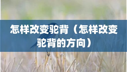 怎样改变驼背（怎样改变驼背的方向）