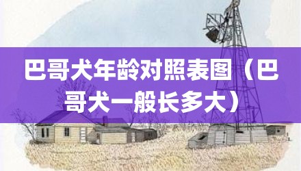 巴哥犬年龄对照表图（巴哥犬一般长多大）