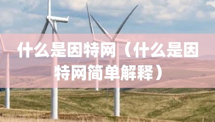 什么是因特网（什么是因特网简单解释）