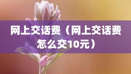 网上交话费（网上交话费怎么交10元）