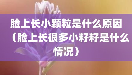 脸上长小颗粒是什么原因（脸上长很多小籽籽是什么情况）