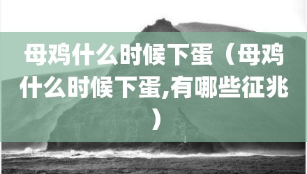 母鸡什么时候下蛋（母鸡什么时候下蛋,有哪些征兆）