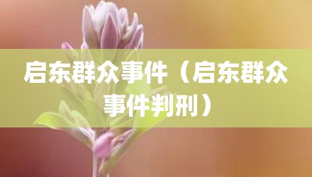 启东群众事件（启东群众事件判刑）