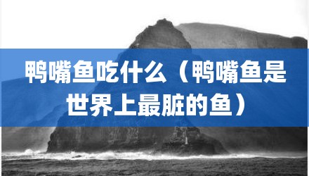 鸭嘴鱼吃什么（鸭嘴鱼是世界上最脏的鱼）