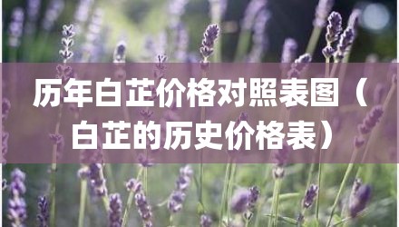 历年白芷价格对照表图（白芷的历史价格表）