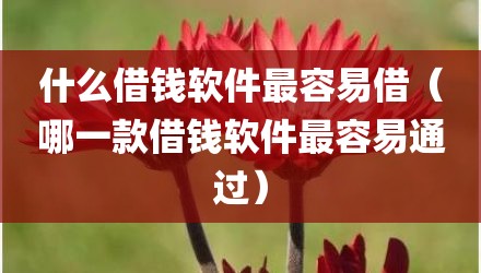 什么借钱软件最容易借（哪一款借钱软件最容易通过）