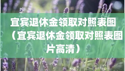 宜宾退休金领取对照表图（宜宾退休金领取对照表图片高清）