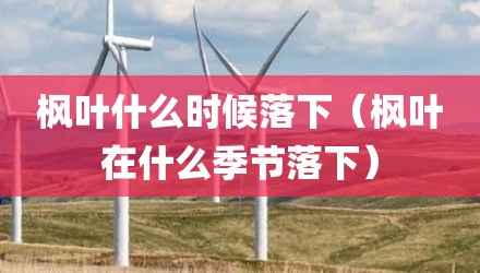 枫叶什么时候落下（枫叶在什么季节落下）