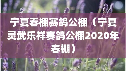 宁夏春棚赛鸽公棚（宁夏灵武乐祥赛鸽公棚2020年春棚）