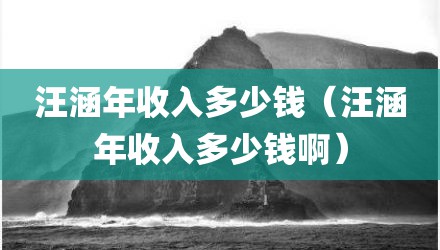 汪涵年收入多少钱（汪涵年收入多少钱啊）