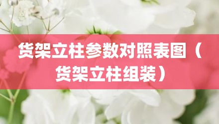 货架立柱参数对照表图（货架立柱组装）