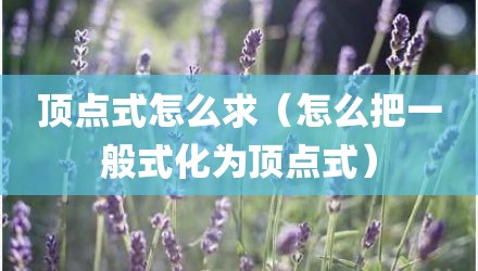 顶点式怎么求（怎么把一般式化为顶点式）
