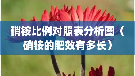 硝铵比例对照表分析图（硝铵的肥效有多长）
