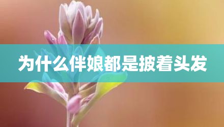为什么伴娘都是披着头发
