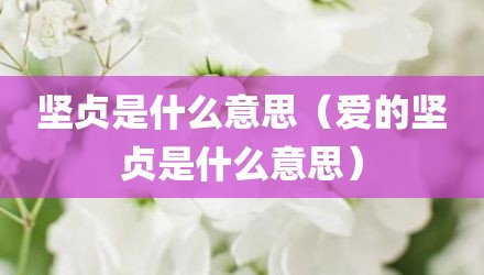 坚贞是什么意思（爱的坚贞是什么意思）