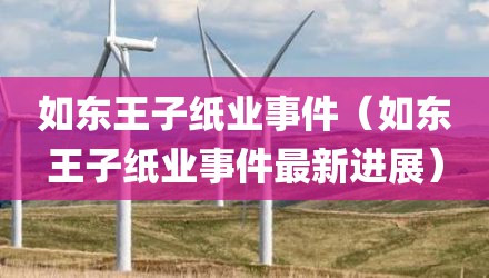 如东王子纸业事件（如东王子纸业事件最新进展）