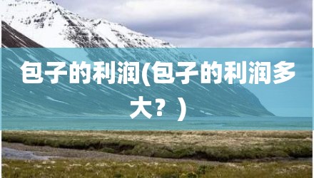 包子的利润(包孑的利润多大？)