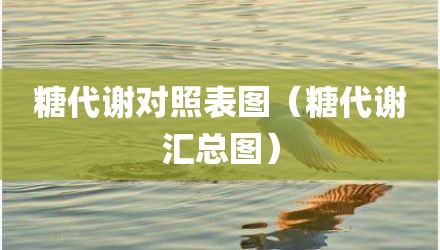 糖代谢对照表图（糖代谢汇总图）