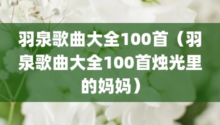 羽泉歌曲大全100首（羽泉歌曲大全100首烛光里的妈妈）