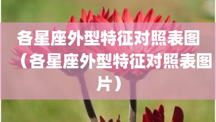 各星座外型特征对照表图（各星座外型特征对照表图片）