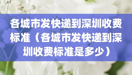 各城市发快递到深圳收费标准（各城市发快递到深圳收费标准是多少）
