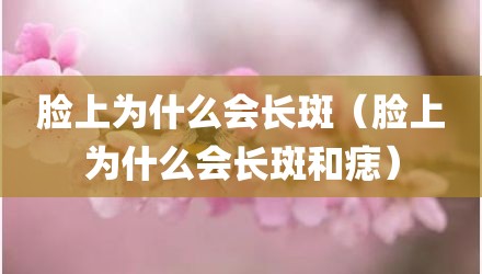 脸上为什么会长斑（脸上为什么会长斑和痣）