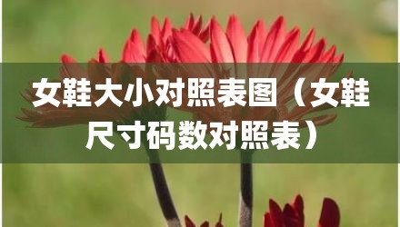 女鞋大小对照表图（女鞋尺寸码数对照表）