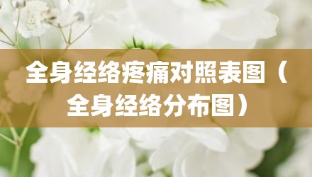 全身经络疼痛对照表图（全身经络分布图）