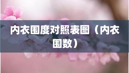 内衣围度对照表图（内衣围数）