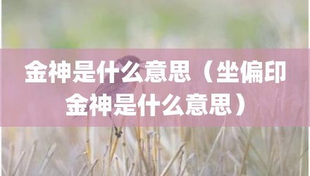 金神是什么意思（坐偏印金神是什么意思）